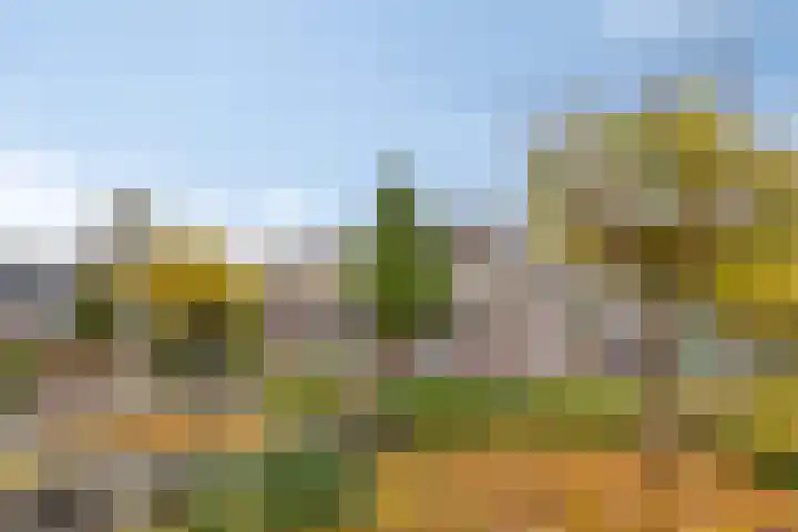 De Padjes 10 Etten-Leur thumbnail 8