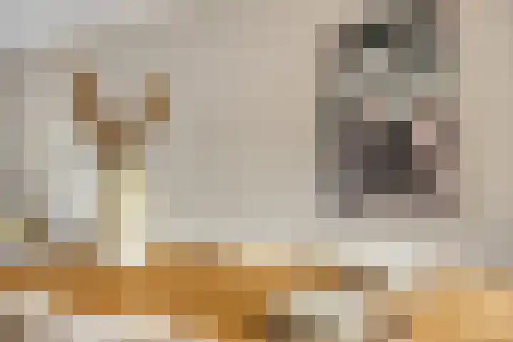 De Padjes 5 Etten-Leur thumbnail 13