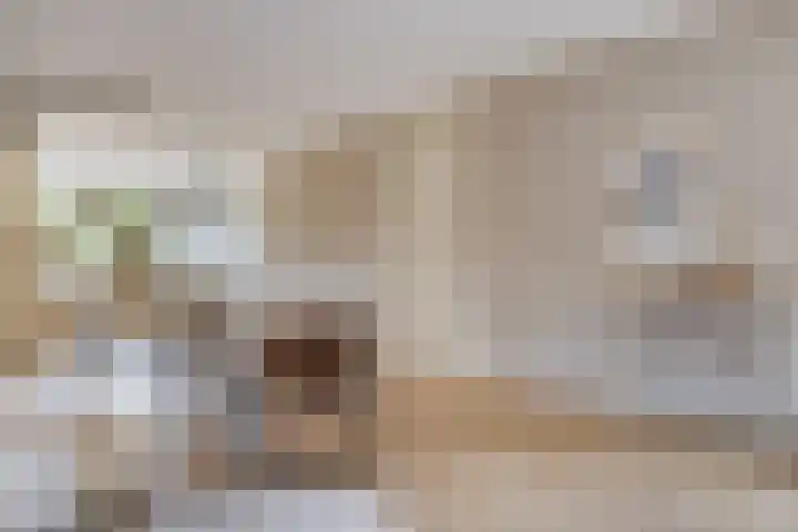 De Padjes 5 Etten-Leur thumbnail 15