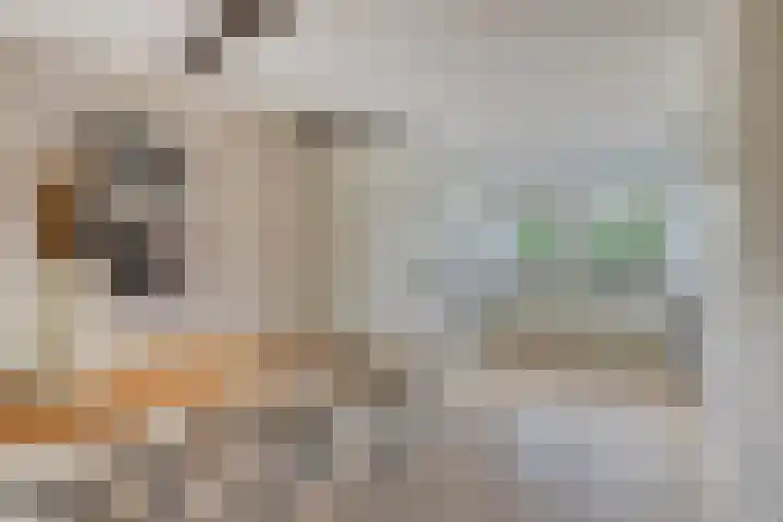 De Padjes 5 Etten-Leur thumbnail 18