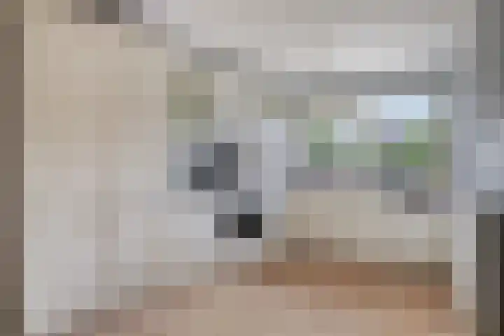 De Padjes 5 Etten-Leur thumbnail 19