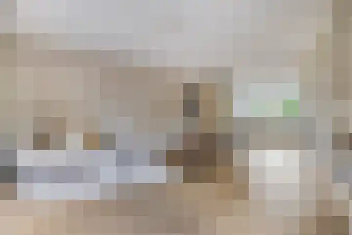 De Padjes 5 Etten-Leur foto 2