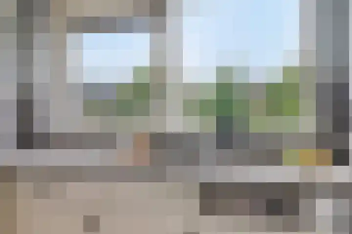 De Padjes 5 Etten-Leur thumbnail 21