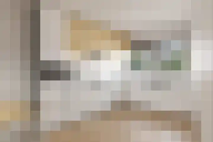 De Padjes 5 Etten-Leur thumbnail 22