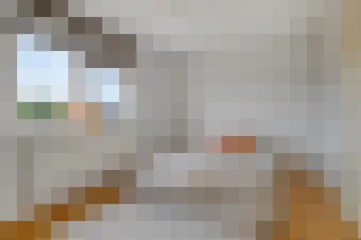 De Padjes 5 Etten-Leur thumbnail 24