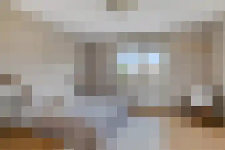 De Padjes 5 Etten-Leur thumbnail 26