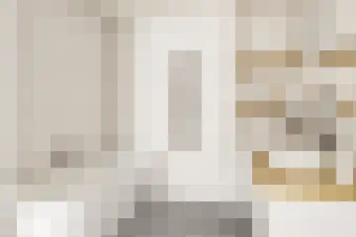 De Padjes 5 Etten-Leur thumbnail 32
