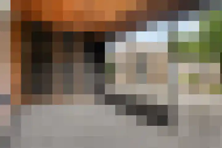 De Padjes 5 Etten-Leur thumbnail 33