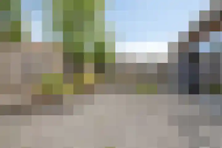 De Padjes 5 Etten-Leur thumbnail 35