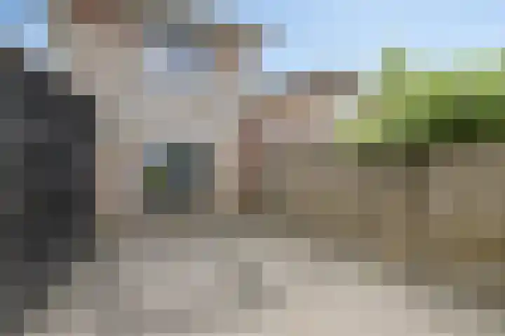 De Padjes 5 Etten-Leur thumbnail 36