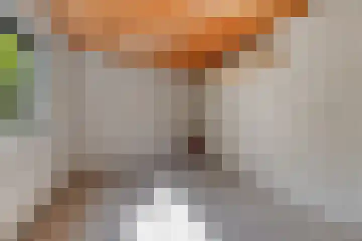 De Padjes 5 Etten-Leur thumbnail 38