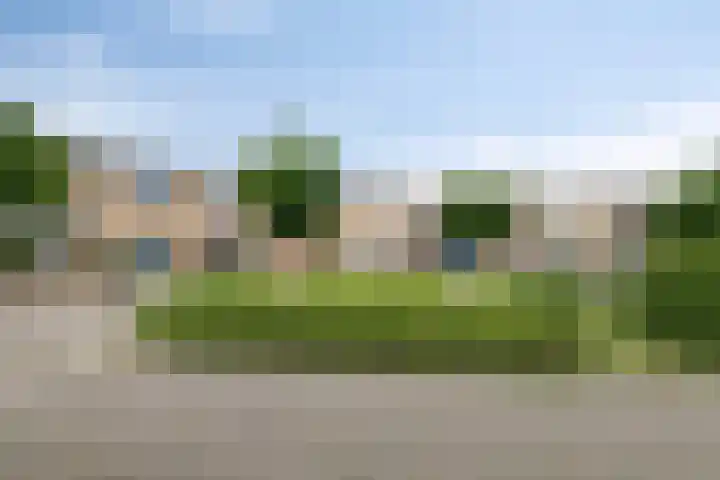 De Padjes 5 Etten-Leur thumbnail 40