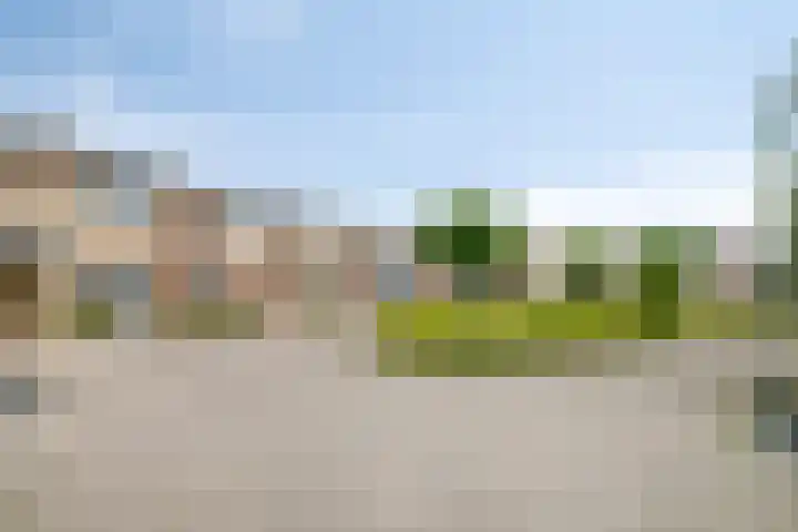 De Padjes 5 Etten-Leur thumbnail 41