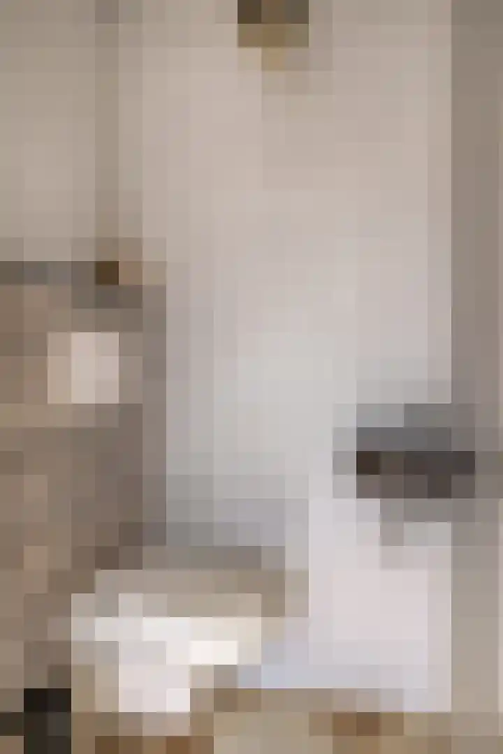De Padjes 5 Etten-Leur thumbnail 7