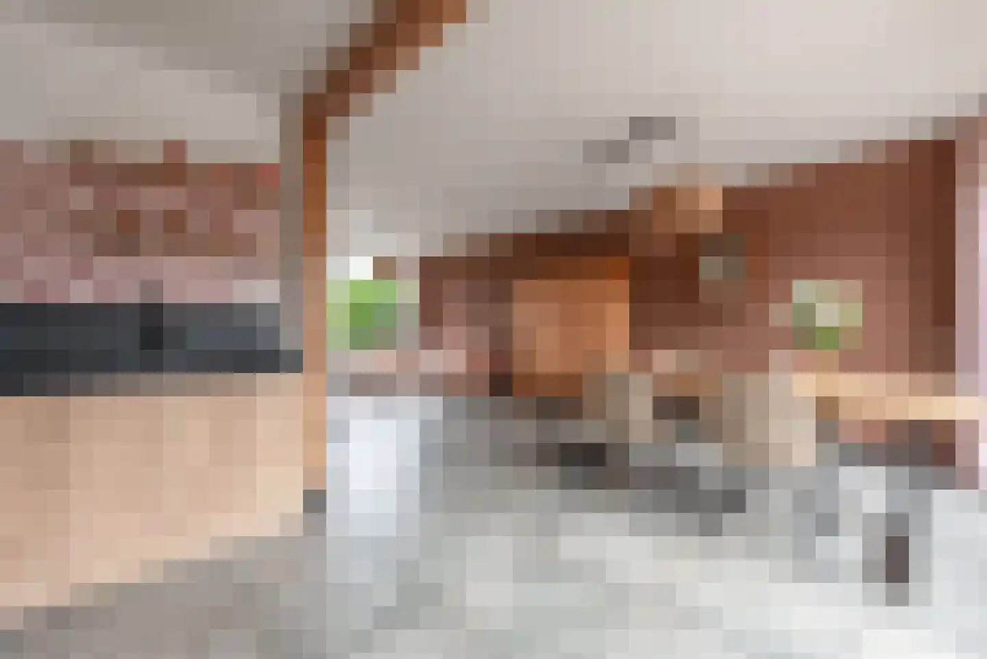 de Pagenberg 12 Heerde thumbnail 15