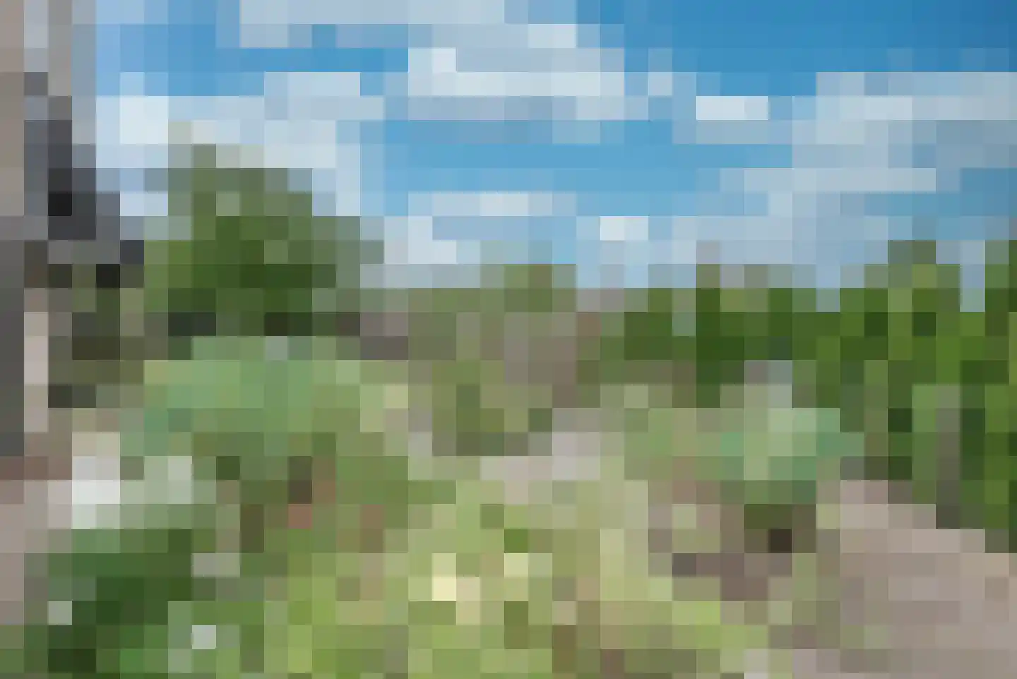 de Pagenberg 12 Heerde thumbnail 32