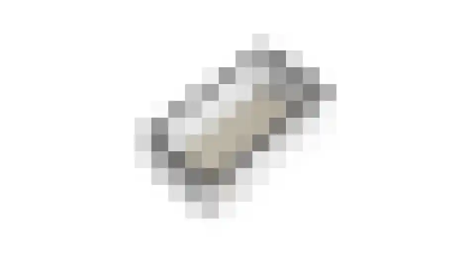 de Pagenberg 12 Heerde thumbnail 45