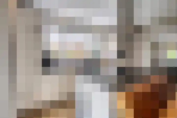de Pagenberg 2 a Heerde thumbnail 16