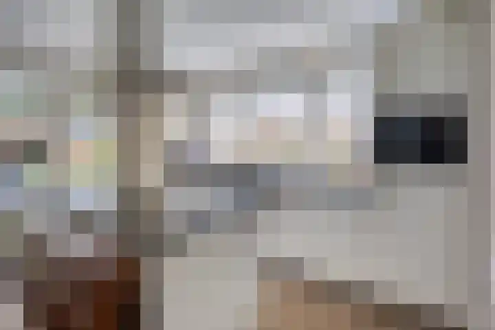 de Pagenberg 2 a Heerde thumbnail 18