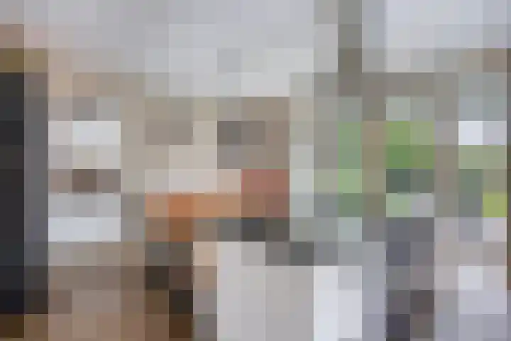 de Pagenberg 2 a Heerde thumbnail 19