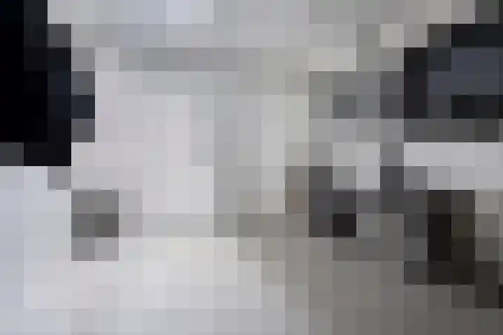 de Pagenberg 2 a Heerde thumbnail 24