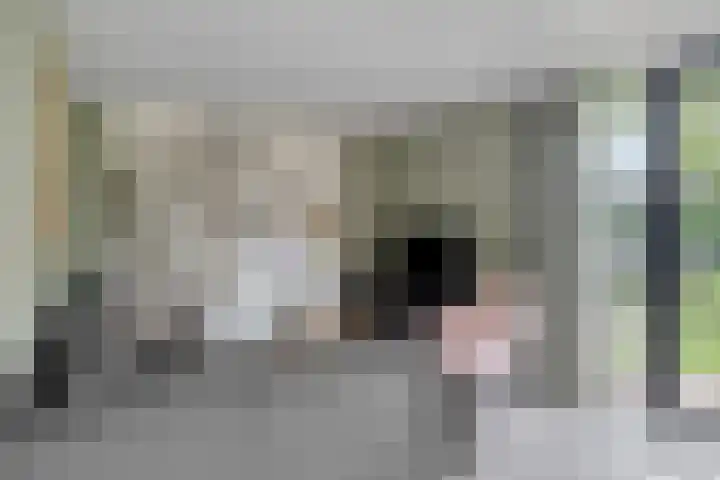de Pagenberg 2 a Heerde thumbnail 26