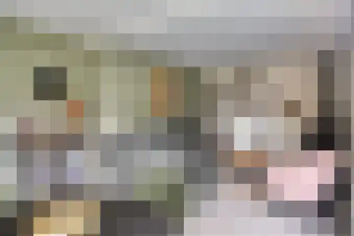 de Pagenberg 2 a Heerde thumbnail 27
