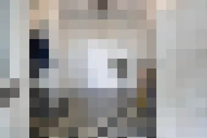 de Pagenberg 2 a Heerde thumbnail 29