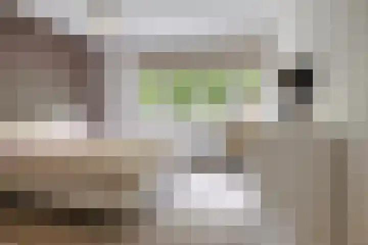 de Pagenberg 2 a Heerde thumbnail 32