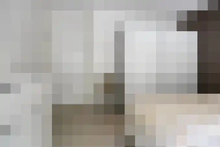 de Pagenberg 2 a Heerde thumbnail 33