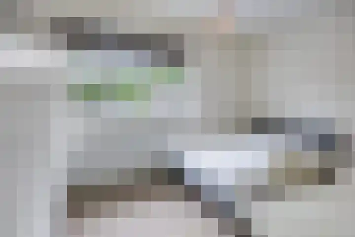 de Pagenberg 2 a Heerde thumbnail 34