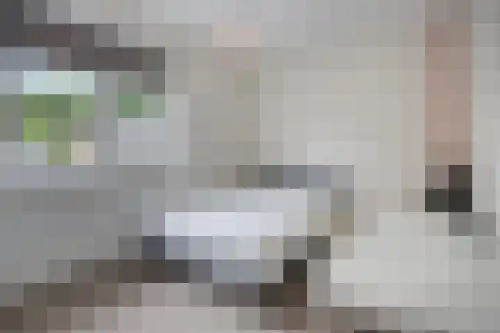 de Pagenberg 2 a Heerde thumbnail 35