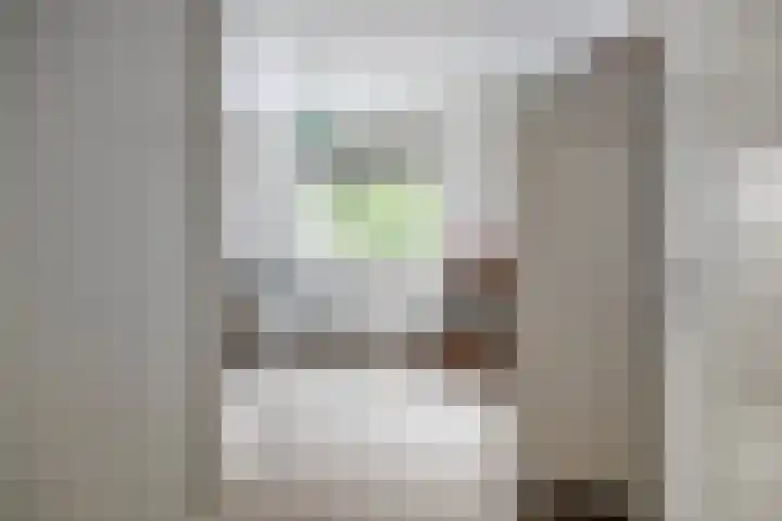 de Pagenberg 2 a Heerde thumbnail 36