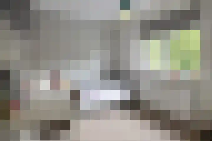 de Pagenberg 2 a Heerde thumbnail 37