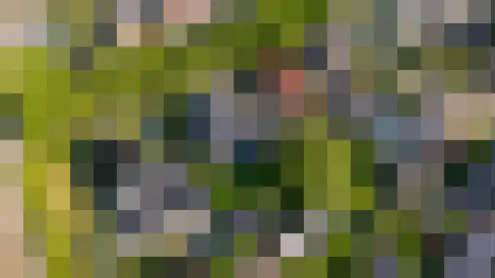 de Pagenberg 2 a Heerde thumbnail 4