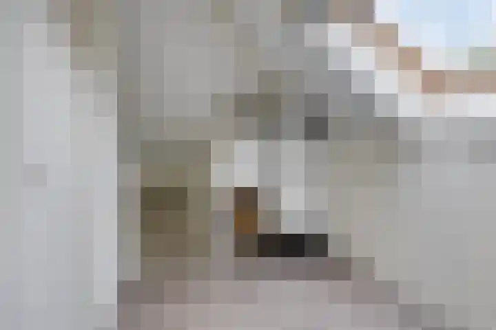 de Pagenberg 2 a Heerde thumbnail 42