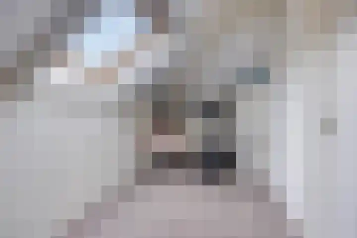 de Pagenberg 2 a Heerde thumbnail 43