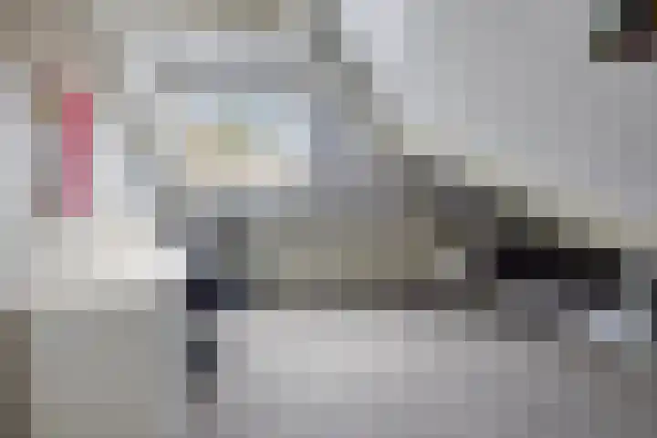 de Pagenberg 2 a Heerde thumbnail 44