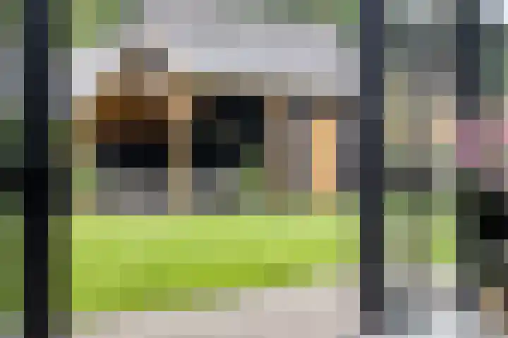 de Pagenberg 2 a Heerde thumbnail 47