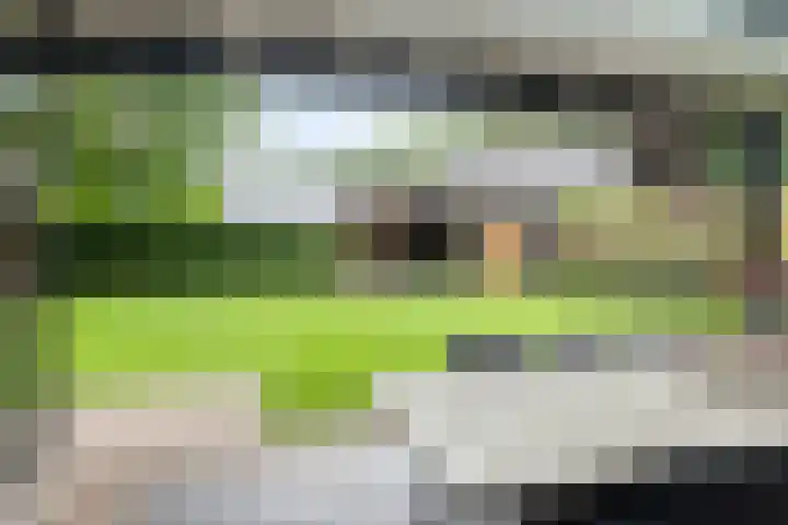 de Pagenberg 2 a Heerde thumbnail 48