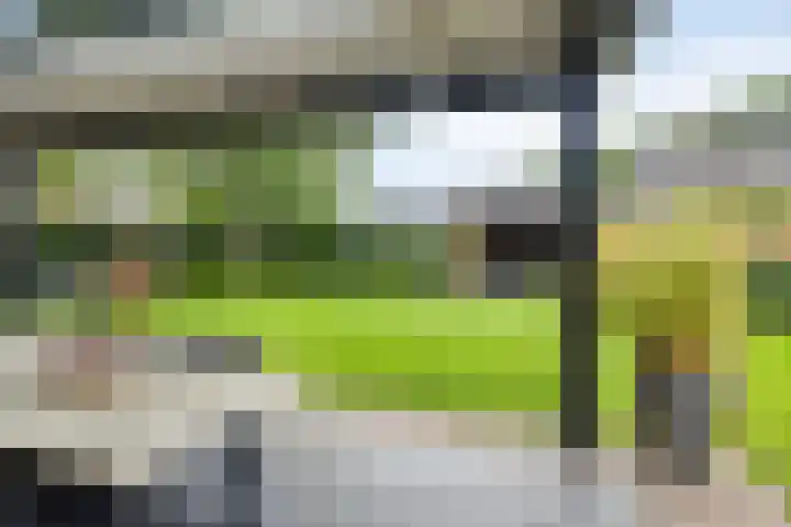 de Pagenberg 2 a Heerde thumbnail 50