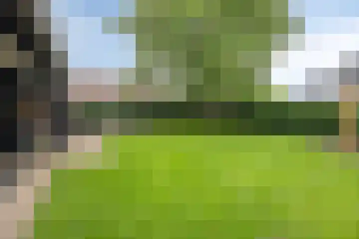 de Pagenberg 2 a Heerde thumbnail 51