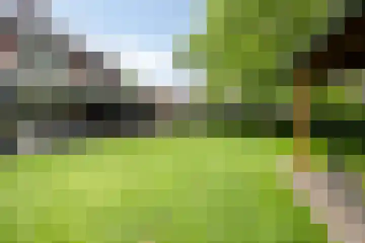 de Pagenberg 2 a Heerde thumbnail 52