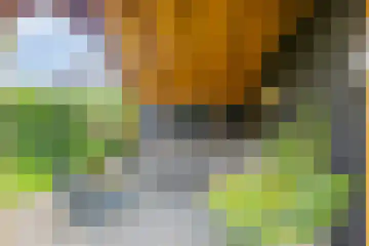 de Pagenberg 2 a Heerde thumbnail 53