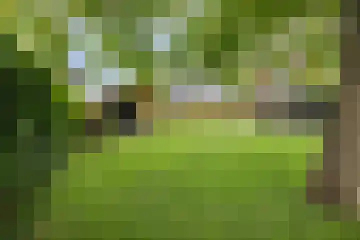 de Pagenberg 2 a Heerde thumbnail 55
