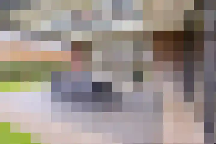 de Pagenberg 2 a Heerde thumbnail 58