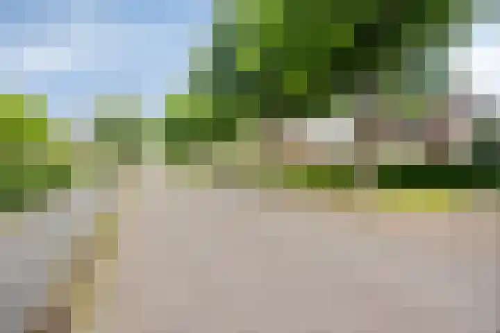 de Pagenberg 2 a Heerde thumbnail 62