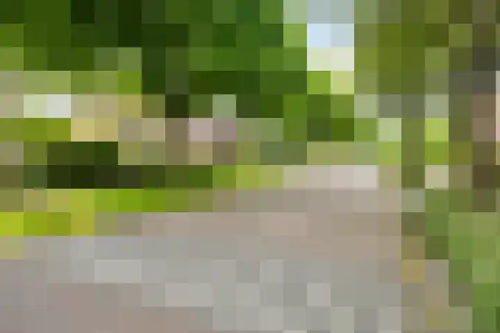 de Pagenberg 2 a Heerde thumbnail 63