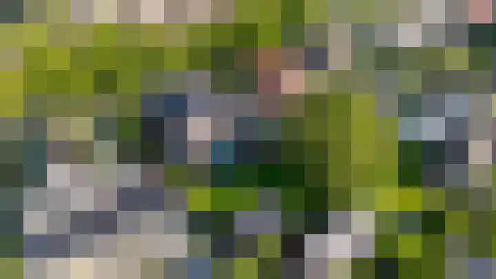 de Pagenberg 2 a Heerde thumbnail 65