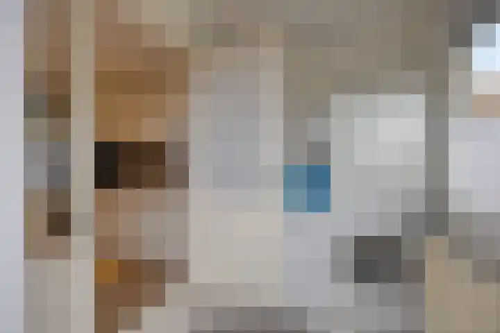 de Pagenberg 5 Heerde thumbnail 12